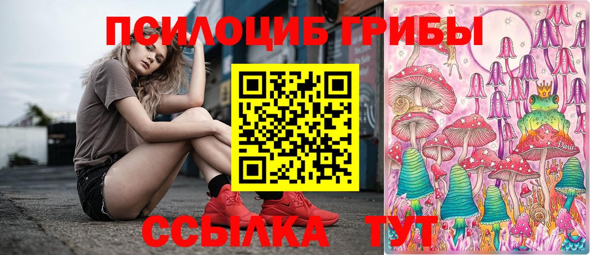 Псилоцибиновые грибы мицелий  Вход с VPN  Нижний Новгород 