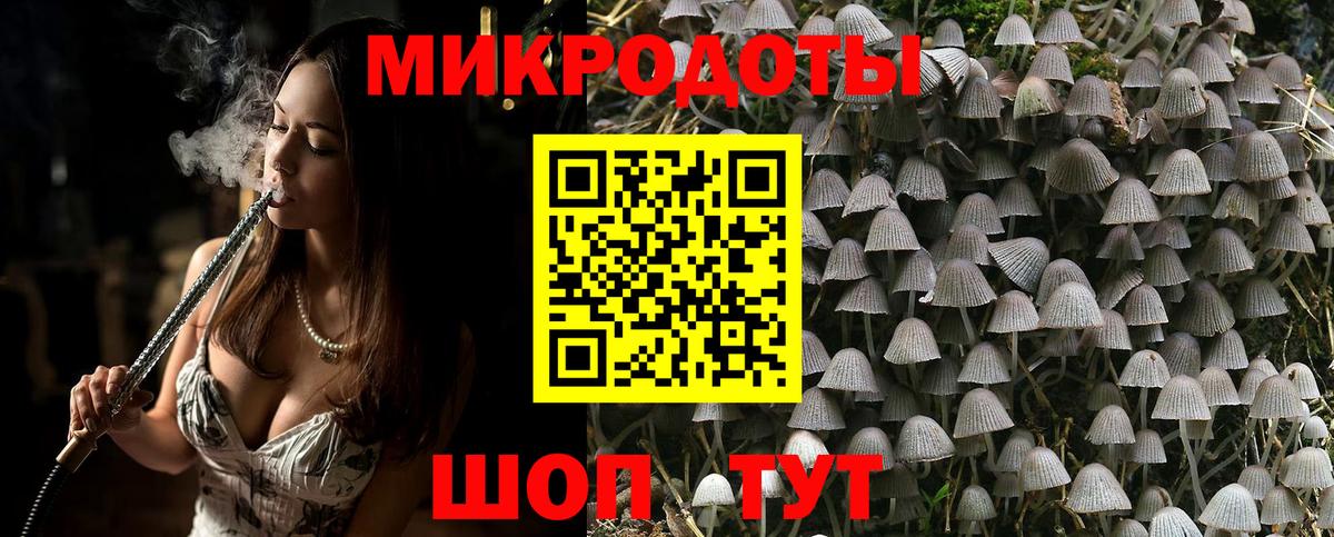 Галлюциногенные грибы MAGIC MUSHROOMS Нижний Новгород